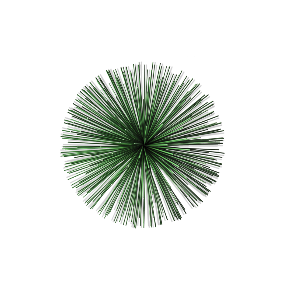 POLS POTTEN Prickle