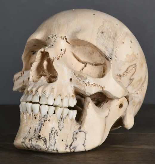 Memento Mori - Bois Naturel