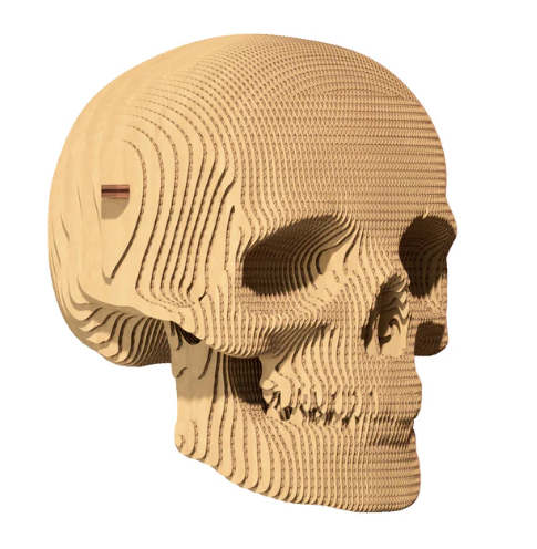 Cartonic 3D Puzzle Objects