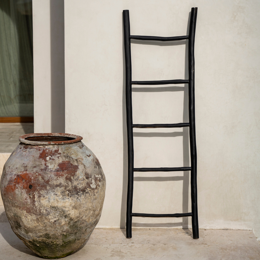 The Tulum Ladder