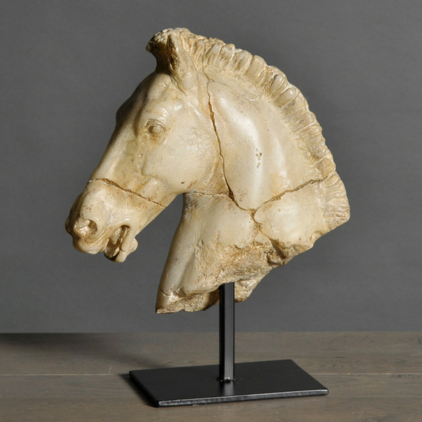 Monti's Horse Head